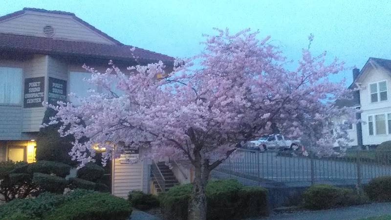 Tacoma-Pierce County Health Department